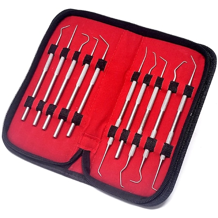 10 Pcs Professional Dental Cleaning Stainless Steel Tools In A Case